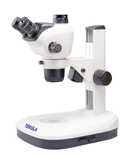 Стереомікроскоп